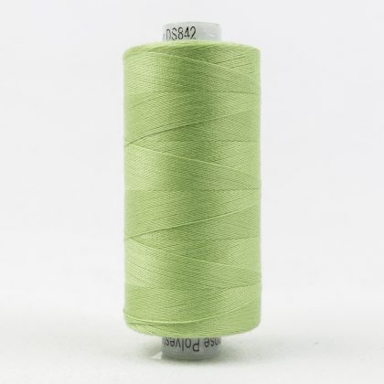 DS842 - Conifer