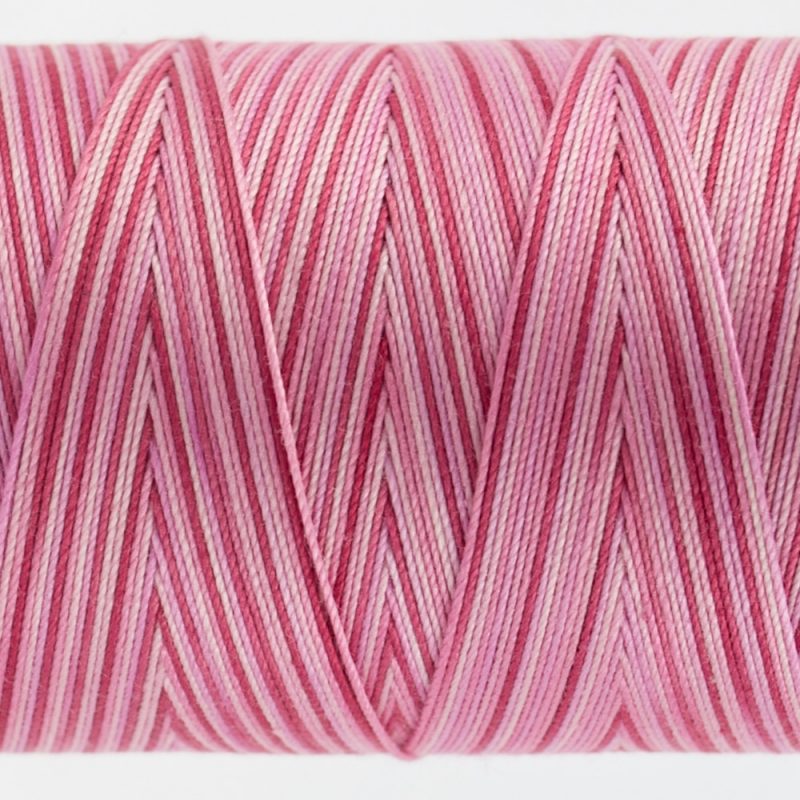 FT13 - Hibiscus - Image 2