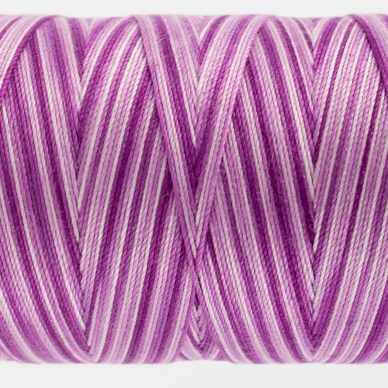 FT16 - Grapes - Image 2