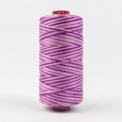 FT16 - Grapes