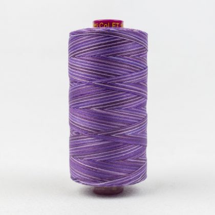 FT18 - Blueberry