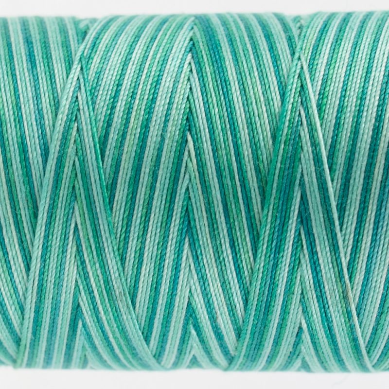 FT22 - Peacock - Image 2
