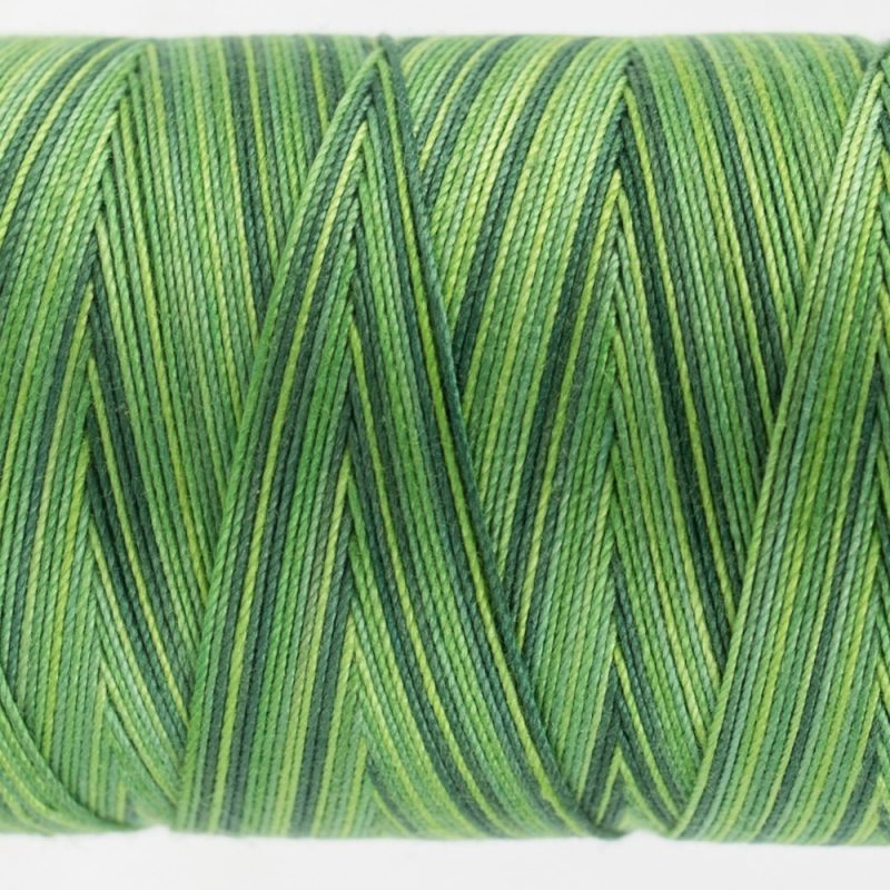 FT31 - Evergreen - Image 2