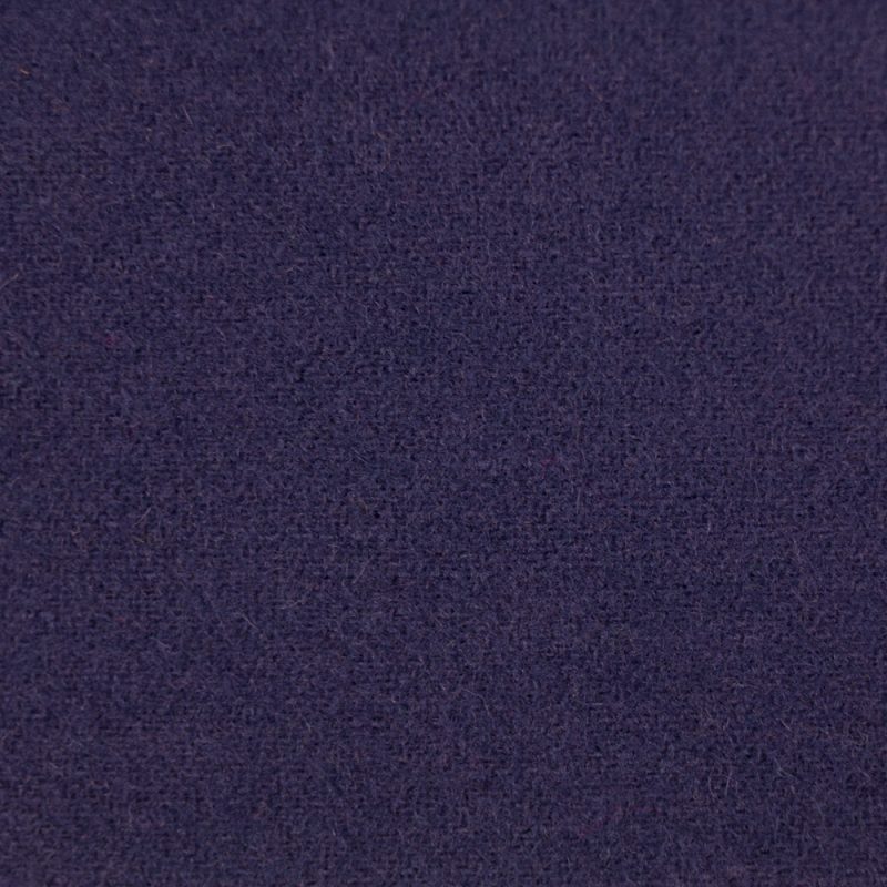 LN40 - Blue Iris - Image 2