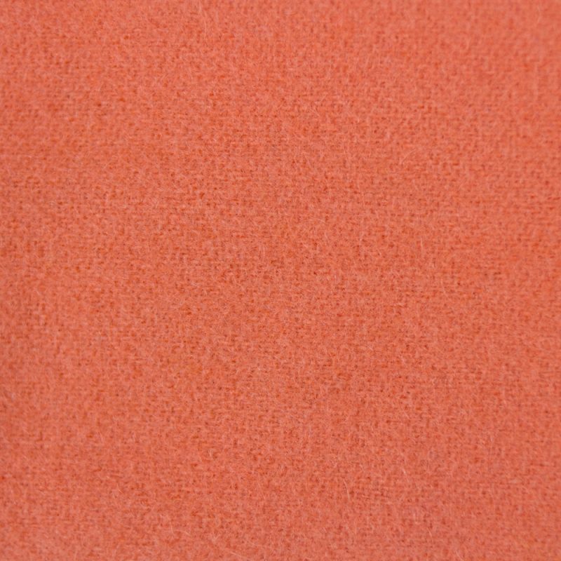 LN49 - Kumquat - Image 2