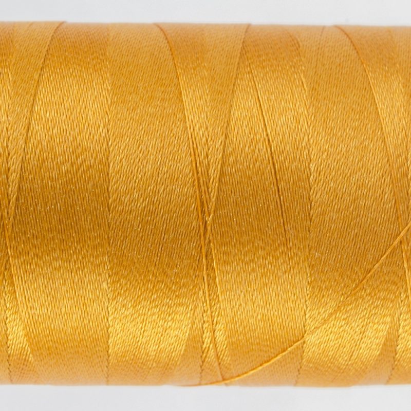 P1052 - Curry Gold - Image 2