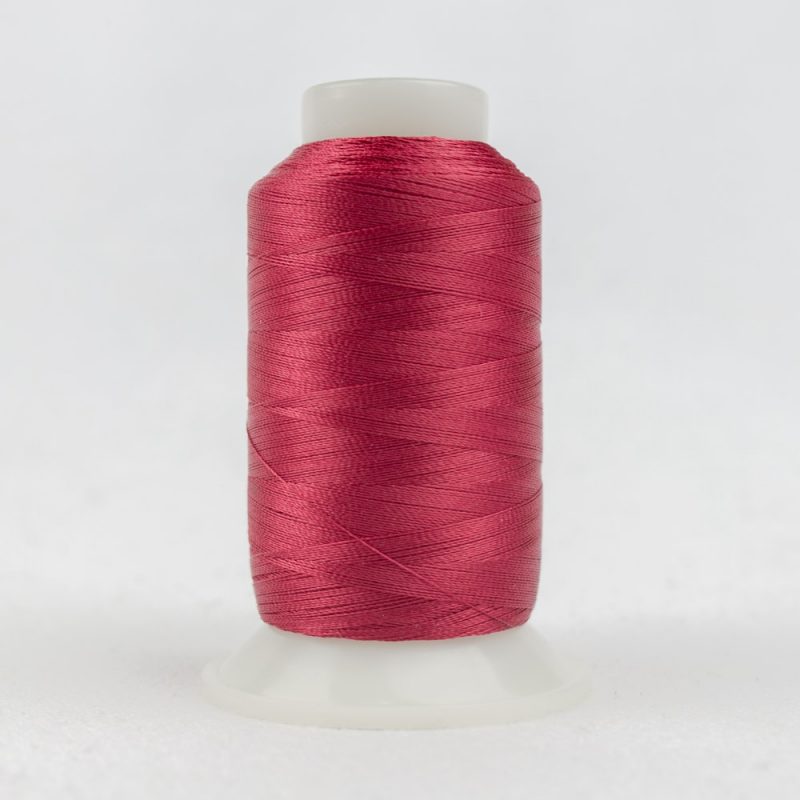 P1077 - Wild Fuchsia