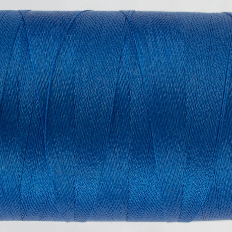 P2170 - Bright Blueberry - Image 2