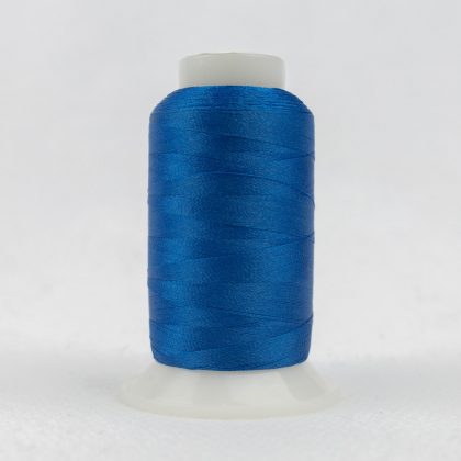 P2170 - Bright Blueberry