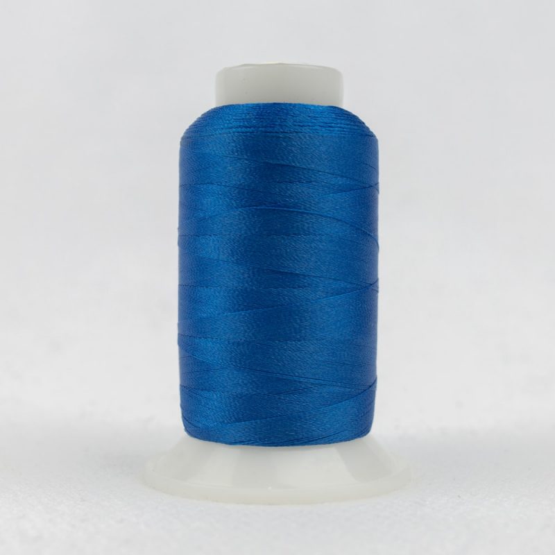 P2170 - Bright Blueberry