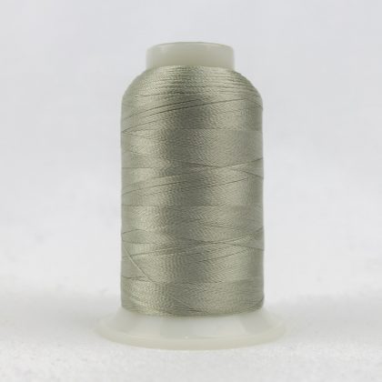 P5387 - Grey Whisper