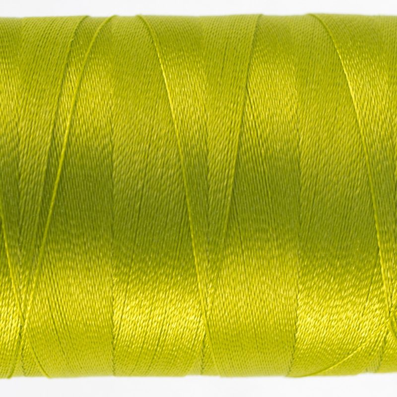 P6482 - Burnt Lime - Image 2