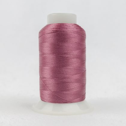 P9330 - Wild Rose