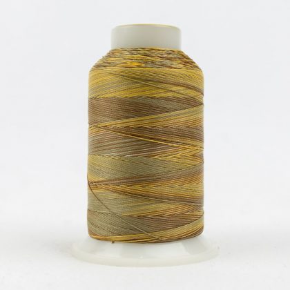 SCM25 - Gold/Brown