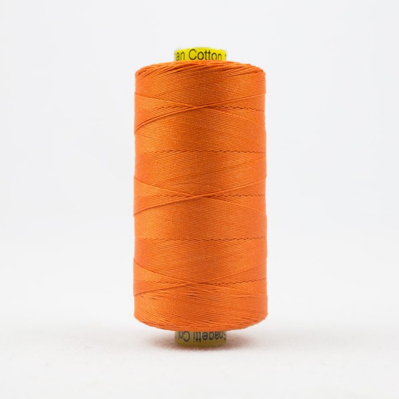 SP02 - Fun Orange