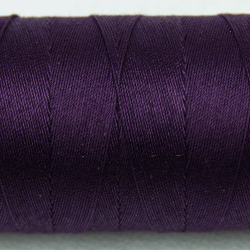 SP15 - Eggplant - Image 2