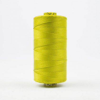 SP36 - Lichen