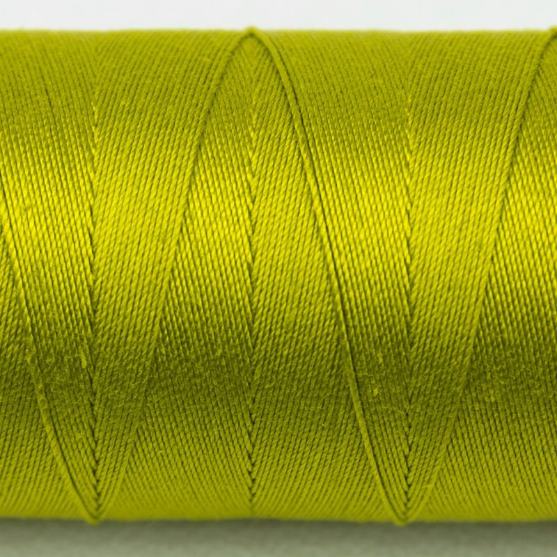 SP36 - Lichen - Image 2
